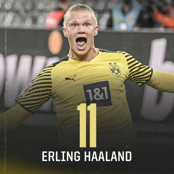 肢体动作交 肢体动作交